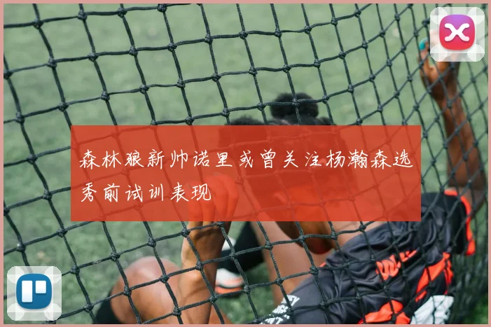 森林狼新帅诺里或曾关注杨瀚森选秀前试训表现